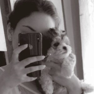 petsitter Iași sau Bonă pentru animale pentru Câini Pisici