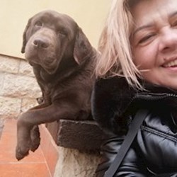 Rodica - pet sitter cats dogs Cluj-Napoca