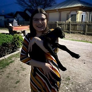 petsitter București sau Bonă pentru animale pentru Câini Pisici 