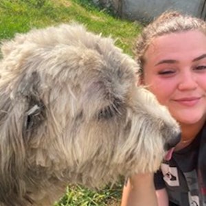 petsitter Pantelimon or Pet nanny for Dogs Cats