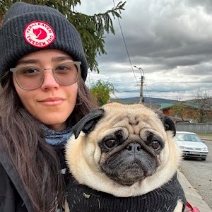 petsitter Cluj-Napoca vagy Állat szitter a Kutyák Cicák