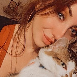 petsitter București or Pet nanny for Dogs Cats
