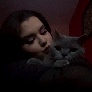 petsitter Timișoara or Pet nanny for Dogs Cats