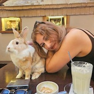 petsitter București sau Bonă pentru animale pentru Câini Pisici