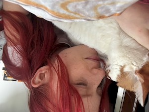 petsitter București or Pet nanny for Dogs Cats 