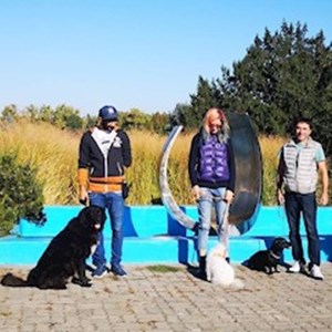 Boarding dog in Bucureşti pet sitting request