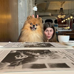 One visit dog in București pet sitting request