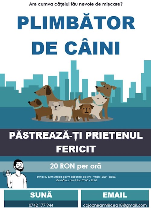 Cojocnean- petsitter Sibiu or Pet nanny for Dogs 