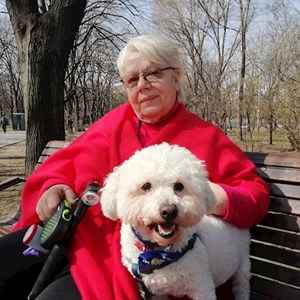 Kutyasétáltatás kutya -ban București kisállatszitting kérés