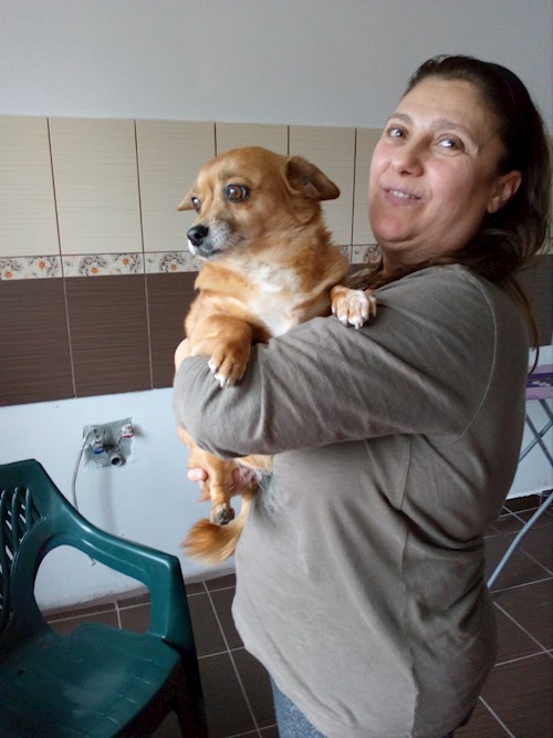 Florin- petsitter Dimieni sau Bonă pentru animale pentru 