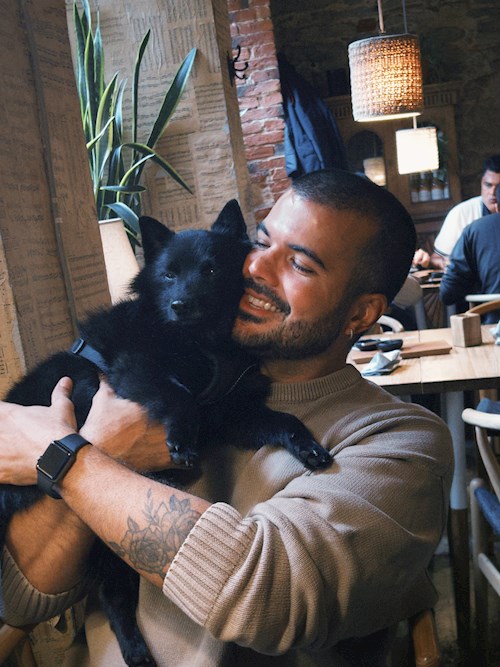Eduardo- petsitter București sau Bonă pentru animale pentru 