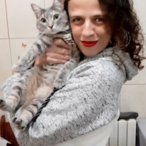 Plimbări pisici, câini in Constanța cerere pet sitting