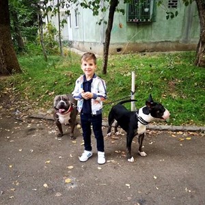 Onica- petsitter București or Pet nanny for Dogs 