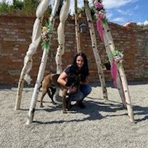 Sitting at owner dog in Domnești pet sitting request